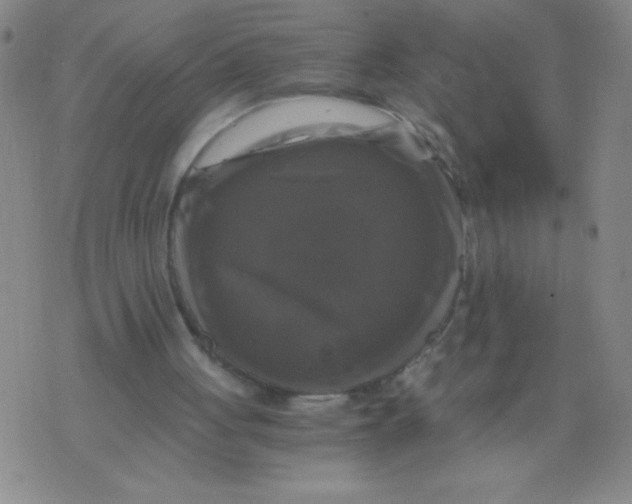 X0000075920051200610062218