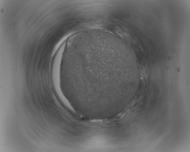 X0000075920052200610062218