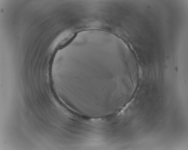 X0000075920054200610062218