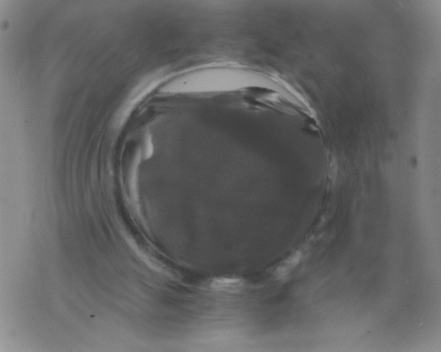 X0000075920055200610062218