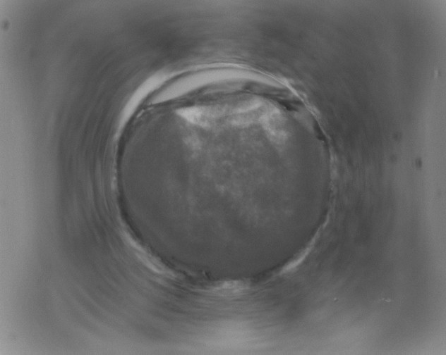 X0000075920056200610062218