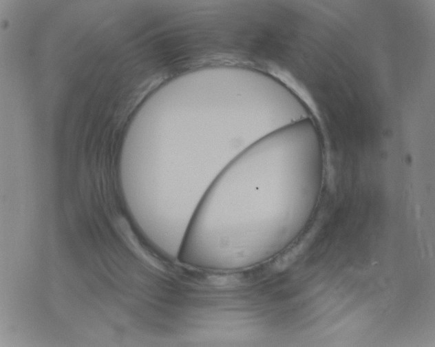 X0000075920057200610062218