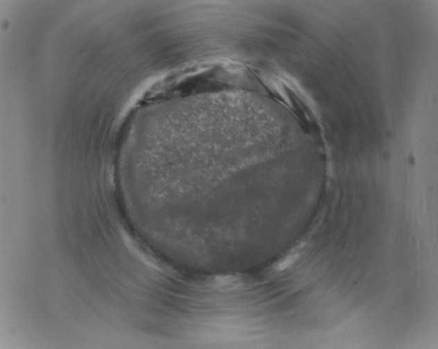 X0000075920060200610062218