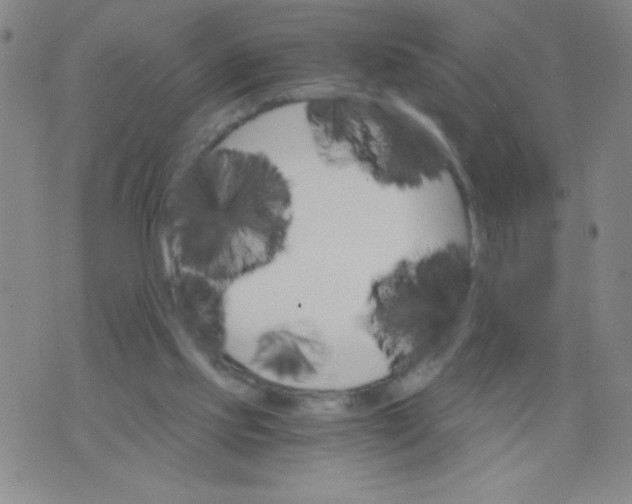 X0000075920061200610062218