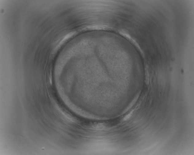 X0000075920062200610062218