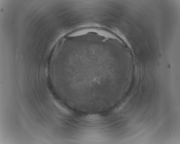 X0000075920063200610062218