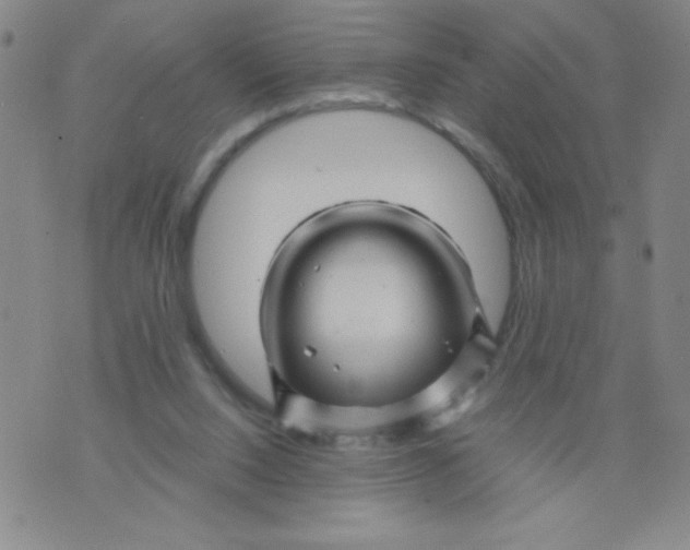 X0000075920064200610062218