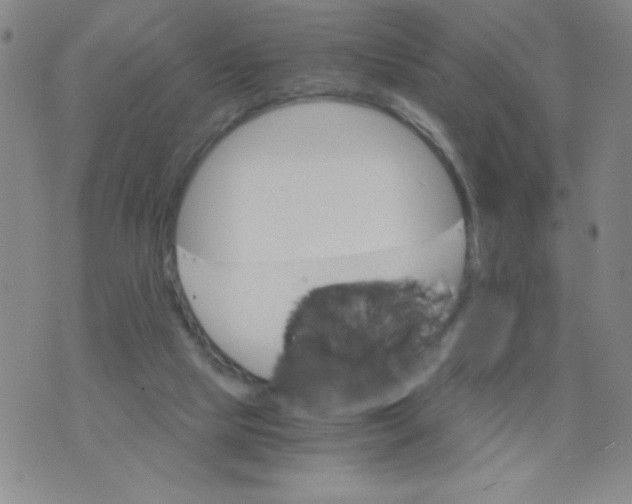 X0000075920065200610062218