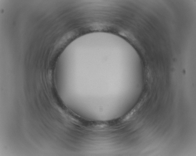 X0000075920066200610062218