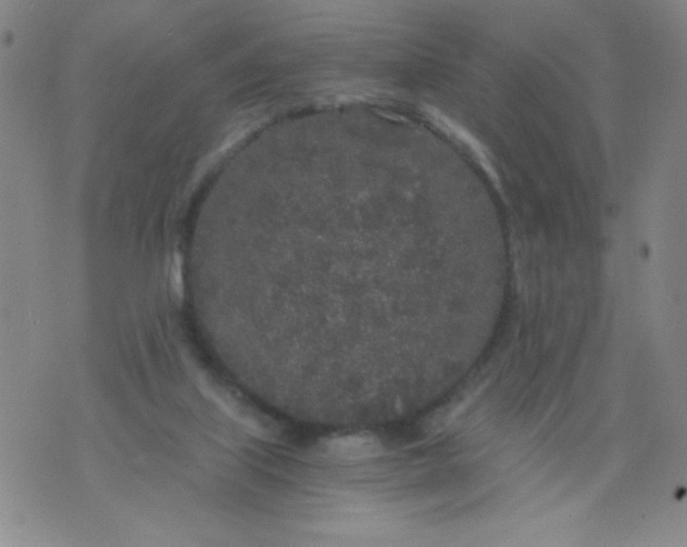 X0000075920067200610062218