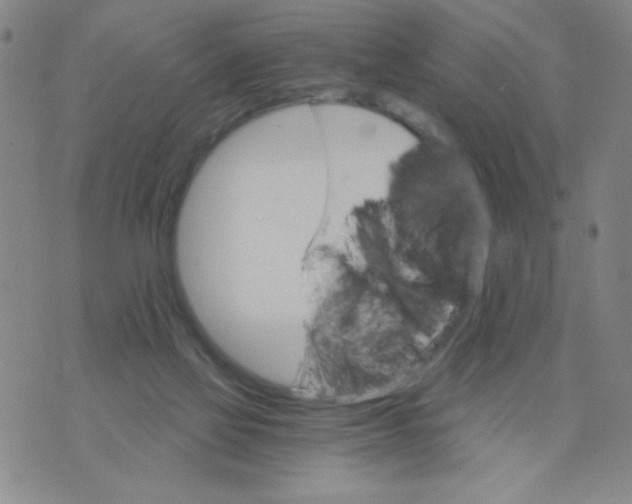 X0000075920069200610062218