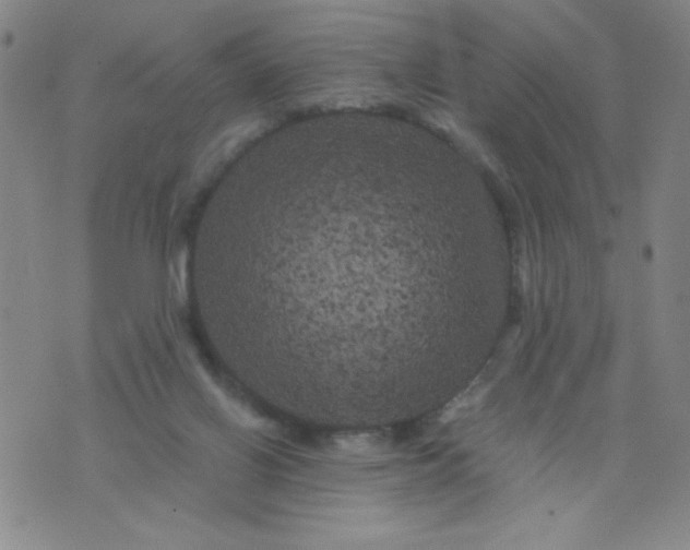 X0000075920070200610062218