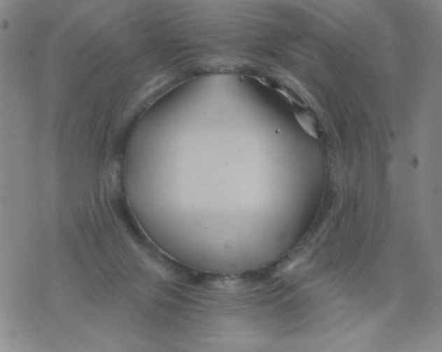 X0000075920071200610062218