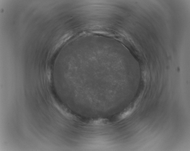 X0000075920072200610062218