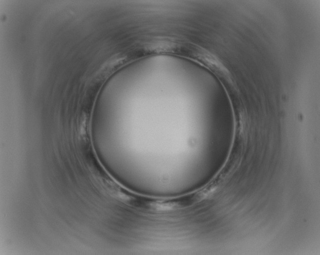 X0000075920073200610062218