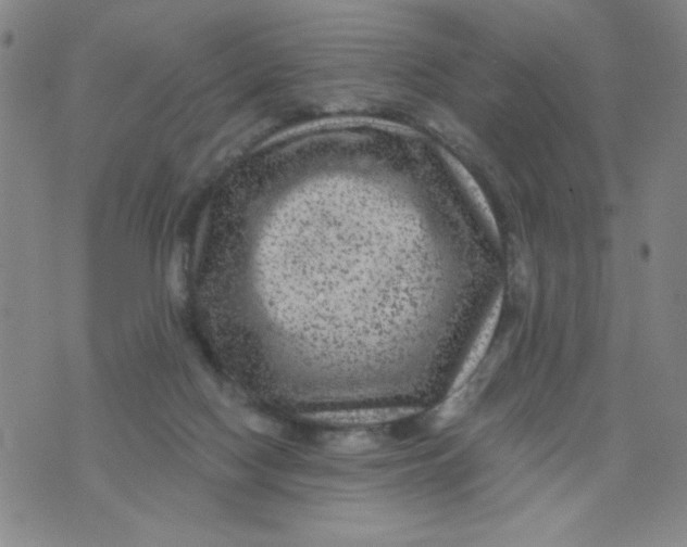 X0000075920074200610062218