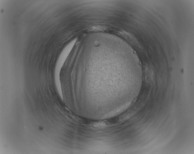 X0000075920075200610062218