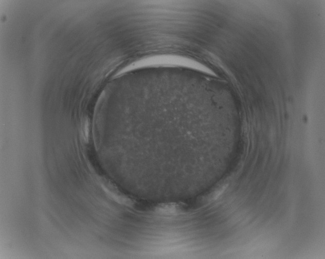 X0000075920076200610062218