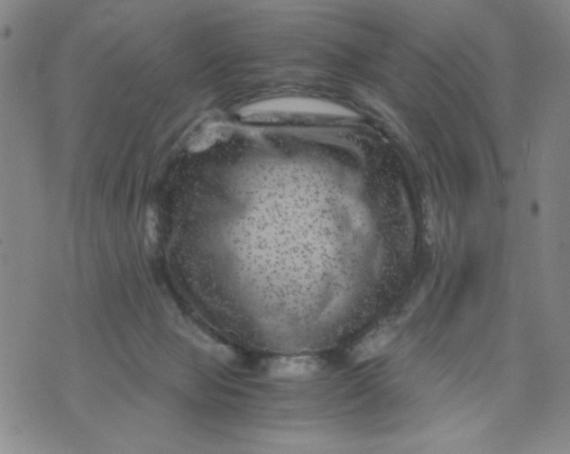 X0000075920077200610062218