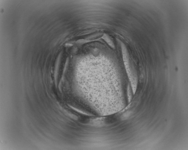 X0000075920078200610062218