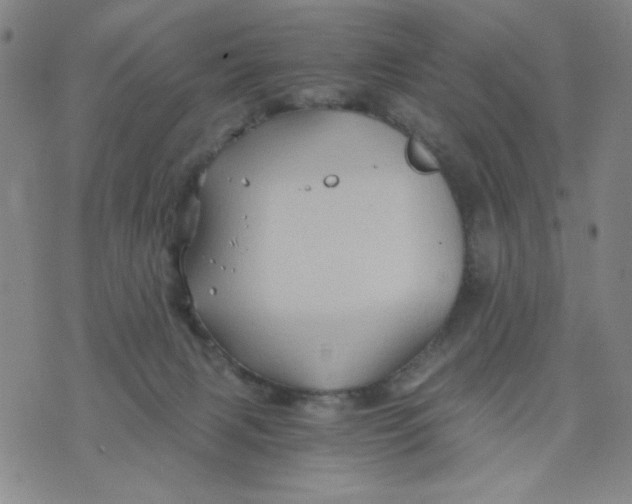 X0000075920079200610062218