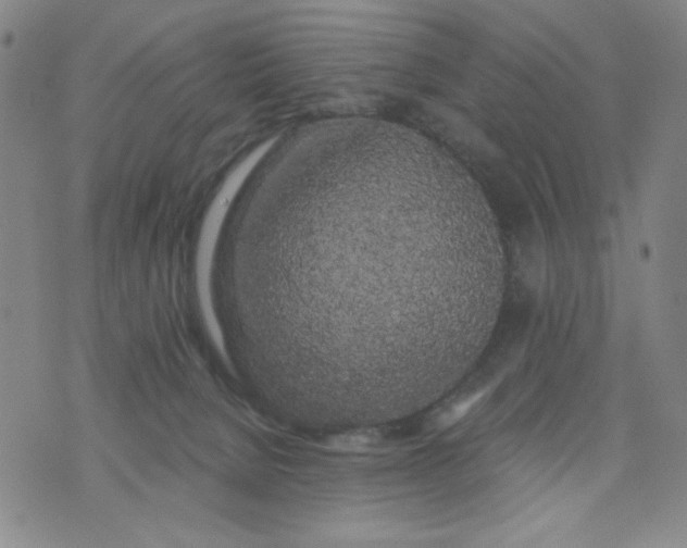 X0000075920080200610062218