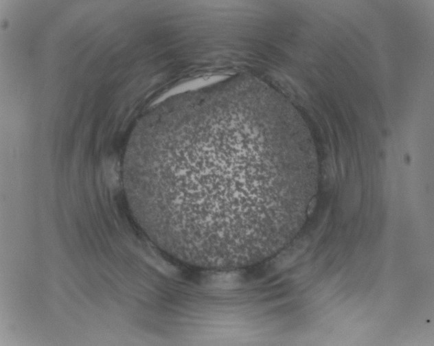 X0000075920081200610062218