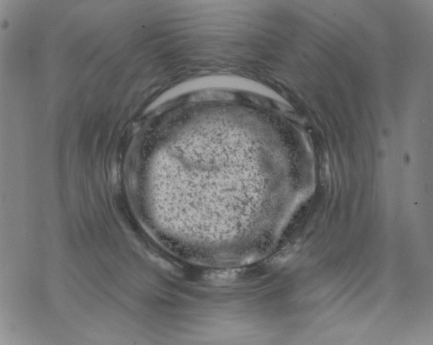 X0000075920084200610062218