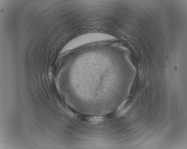 X0000075920085200610062218