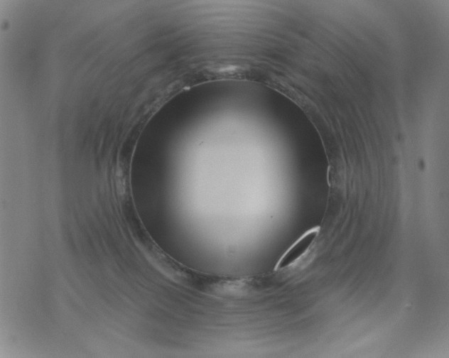 X0000075920086200610062218