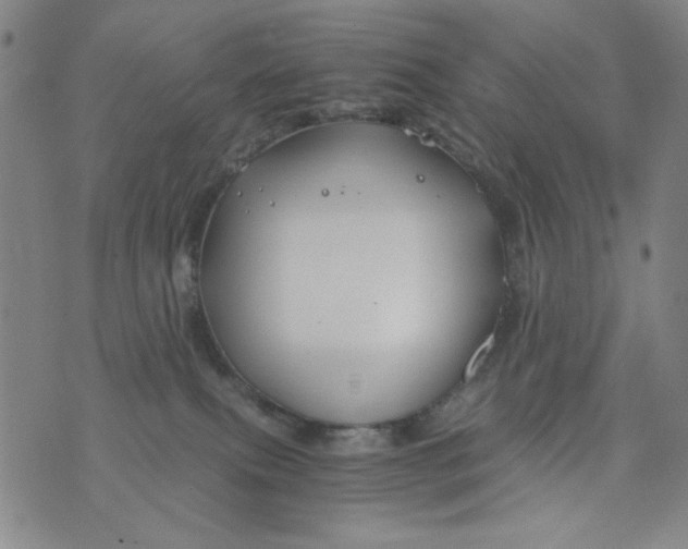 X0000075920087200610062218