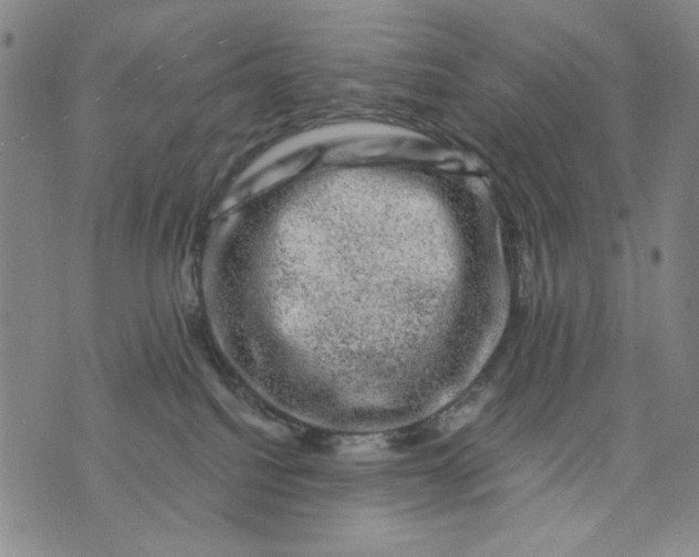 X0000075920088200610062218