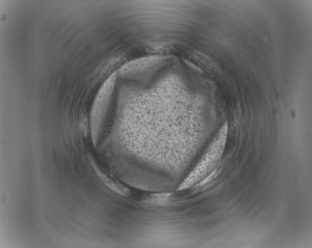 X0000075920090200610062218