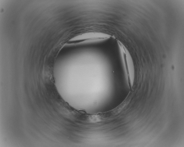 X0000075920091200610062218