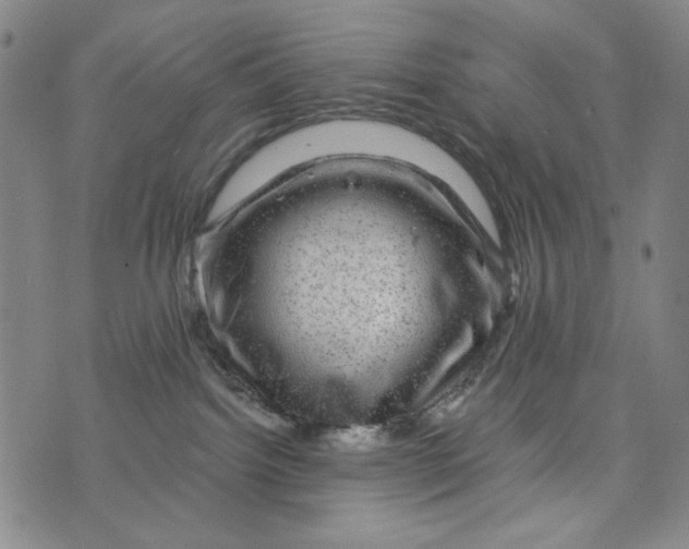 X0000075920092200610062218