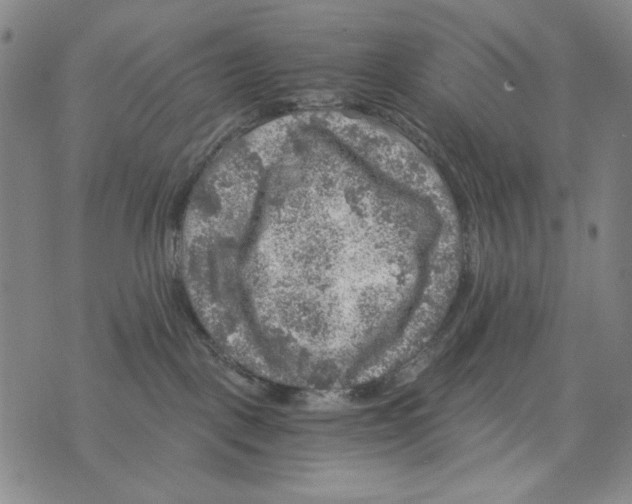 X0000075920093200610062218