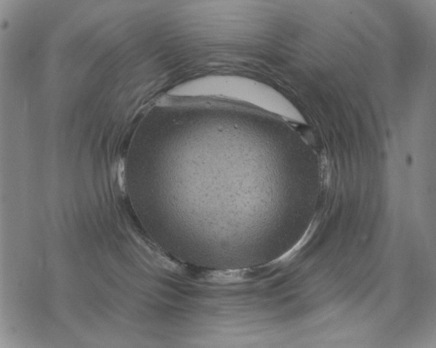 X0000075920094200610062218