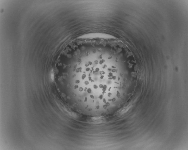 X0000075920095200610062218