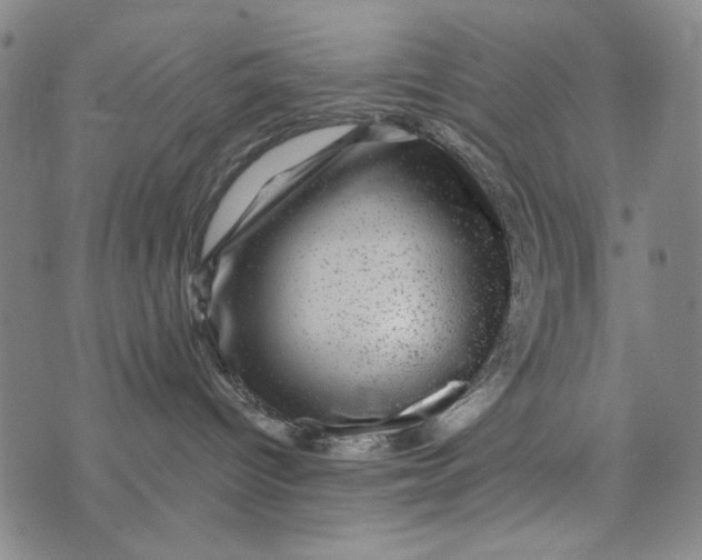 X0000075920096200610062218