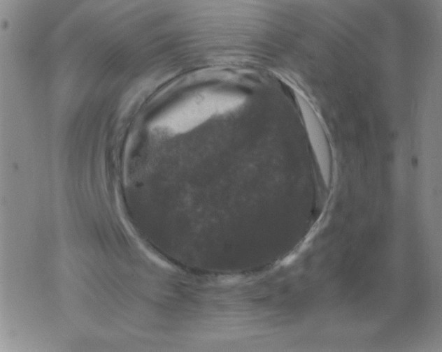 X0000075920097200610062218