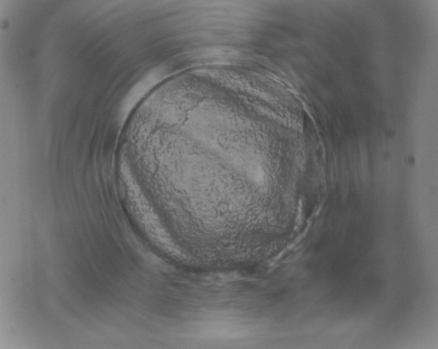 X0000075920099200610062218