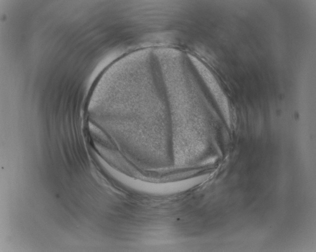 X0000075920100200610062217