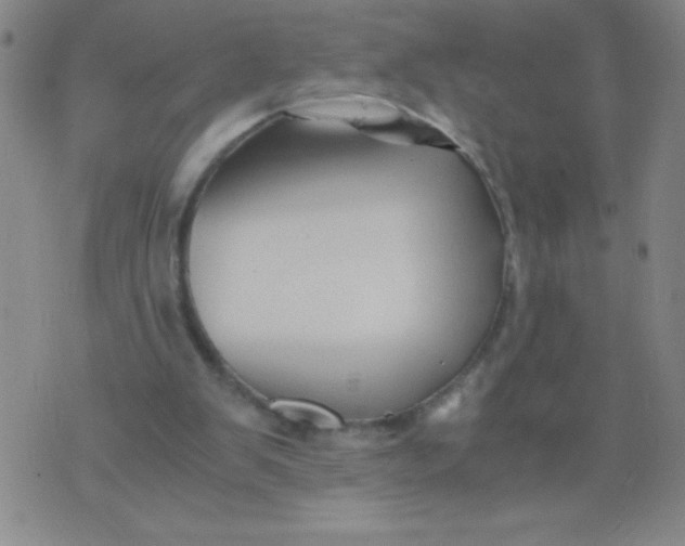 X0000075920103200610062217