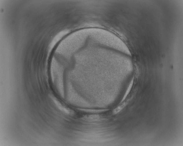 X0000075920104200610062217