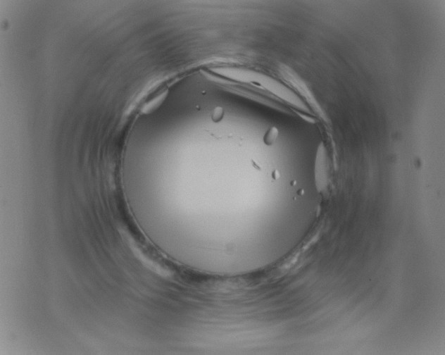 X0000075920106200610062217