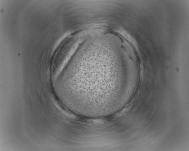 X0000075920107200610062217