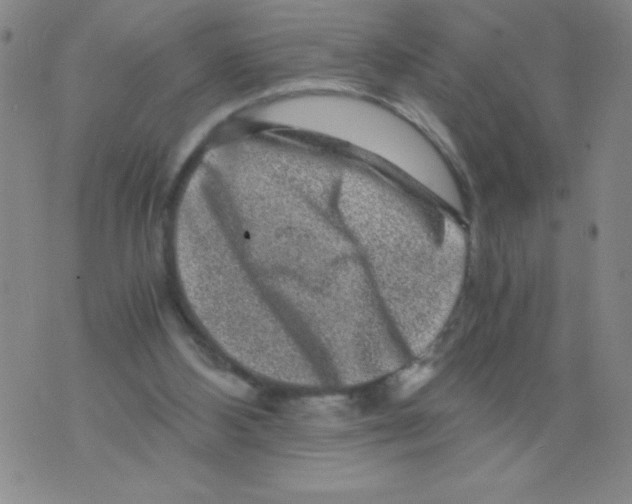 X0000075920108200610062217