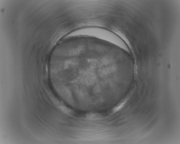 X0000075920109200610062217