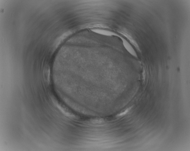 X0000075920110200610062217