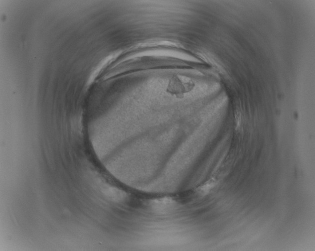 X0000075920112200610062217